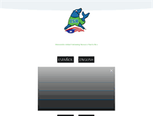 Tablet Screenshot of isrpuertorico.com
